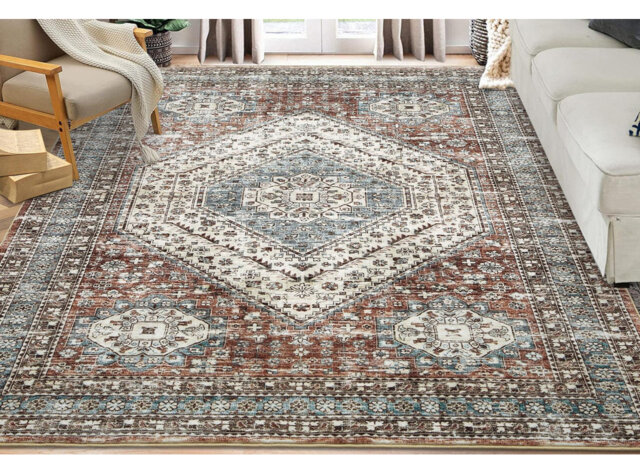 Danica Area Rug by Wayfair | ufurnish.com
