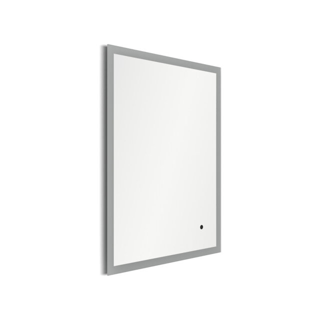 Fresh Look at Edison Rectangular Mirror By Wayfair