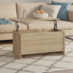 Hydia Lift Top Extendable Sled Coffee Table with Storage by Wayfair ...