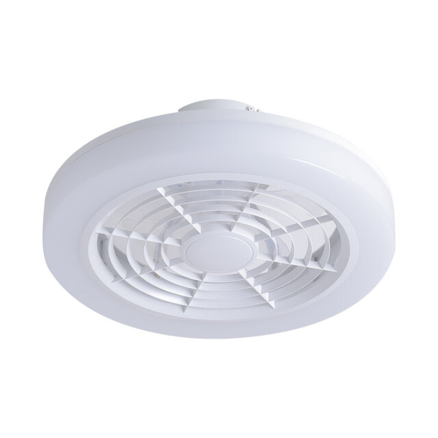 Coleon Coleon Ceiling Fan with LED Lights by Wayfair | uFurnish.com