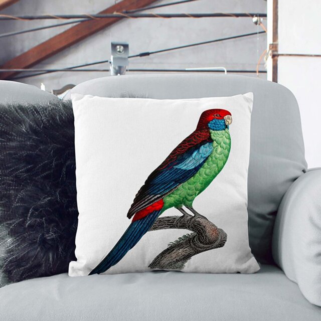 Picture of Broad-Tailed Parrot by F. Levaillant Cushion with Filling by Wayfair ...