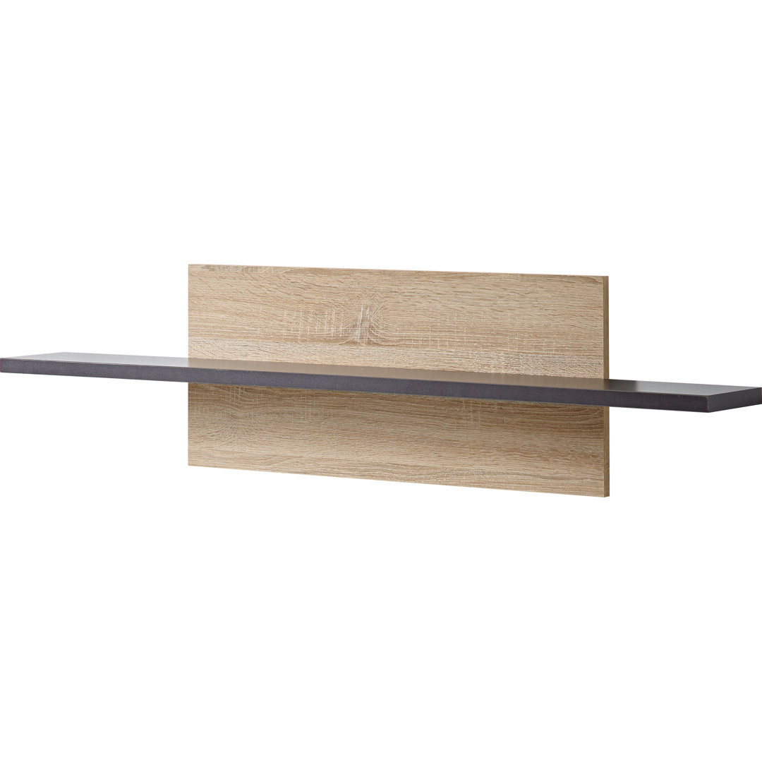Escala Wall Rack by Wayfair | ufurnish.com