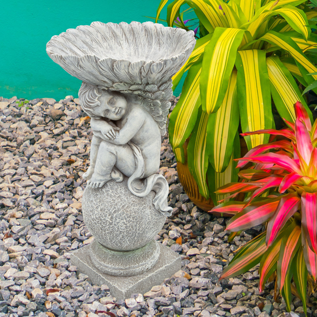 Angel and Shell Bird Bath by Wayfair
