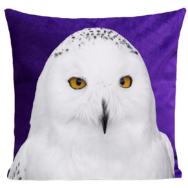 Rollins Snowy Owl Cushion Cover