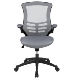 Mid-Back Ergonomic Mesh Desk Chair