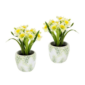 Daffodils Floral Arrangement in Planter