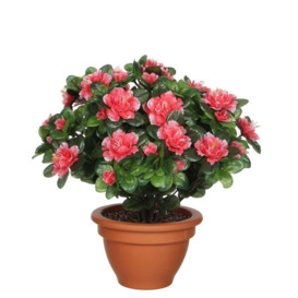 Omprakash Artificial Flowering Plant in Pot