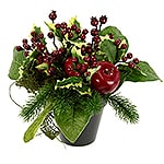Representative image for Christmas Table Centrepieces