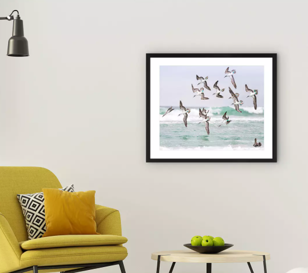Gannets 2 - Framed Print & Mount by John Lewis & Partners 