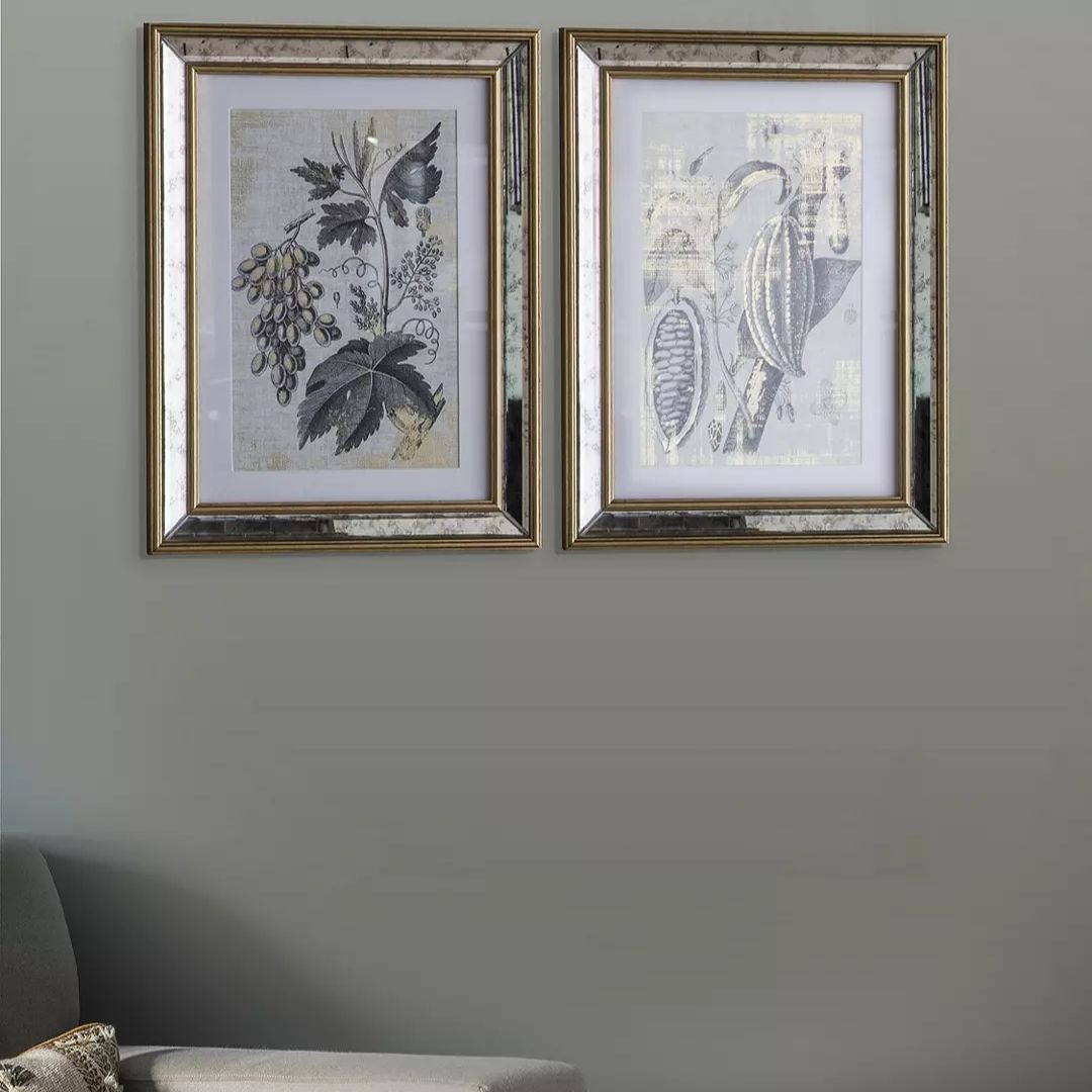 Braun Botanicals Framed Print & Mount Set of 2 by John Lewis & Partners