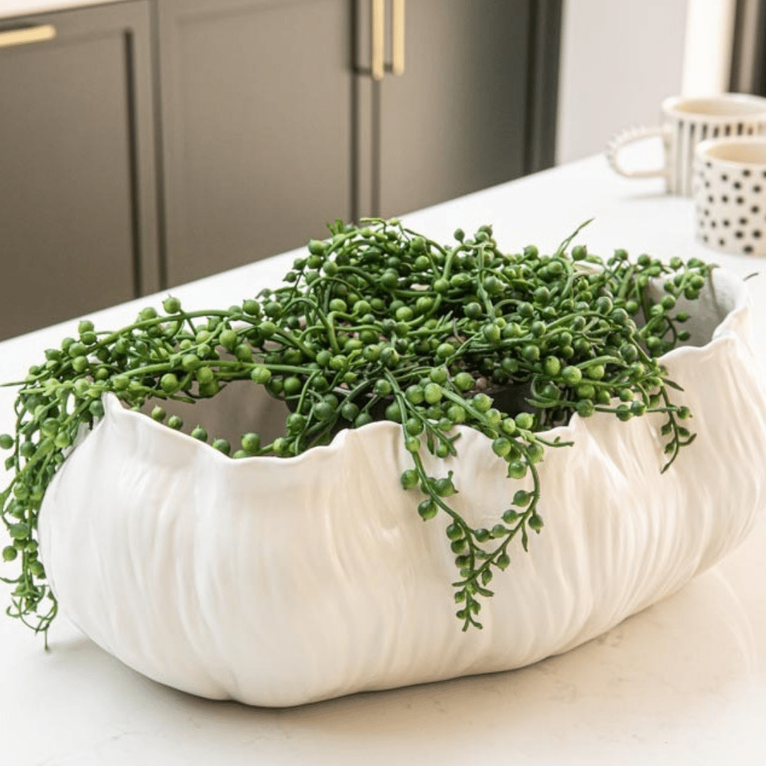 White Shell Decorative Bowl/Planter