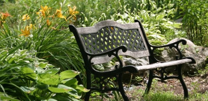 10 Best Garden Benches