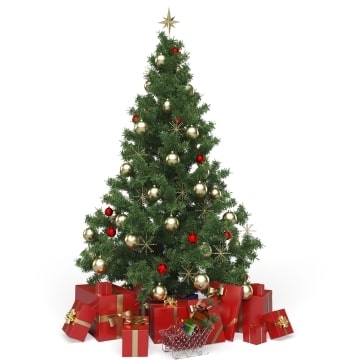 Representative image for Christmas Trees