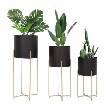 Representative image for Plant Stands