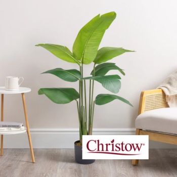 Christow Artificial Plants & Trees