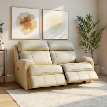 Haskins Recliner Sofas