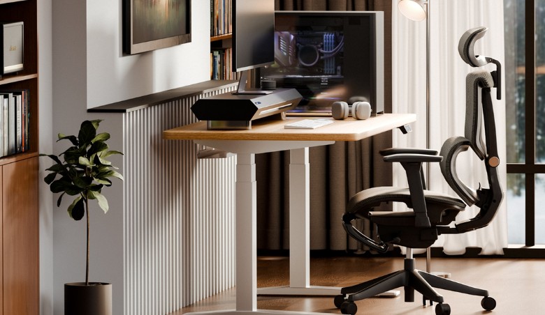 Flexispot Office setup