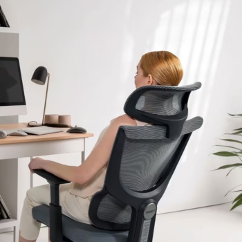 Flexispot ergonomic chairs