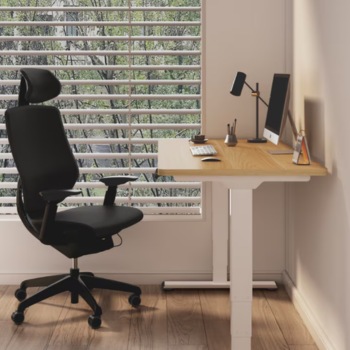 Flexispot standing desks