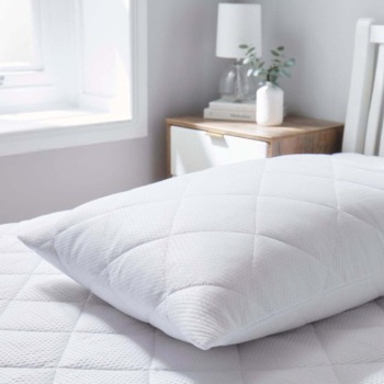 The Fine Bedding Company Pillows