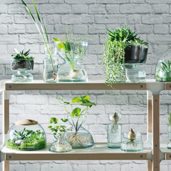 Black by Design Home Accessories